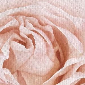 Meet your Posher, Boujee